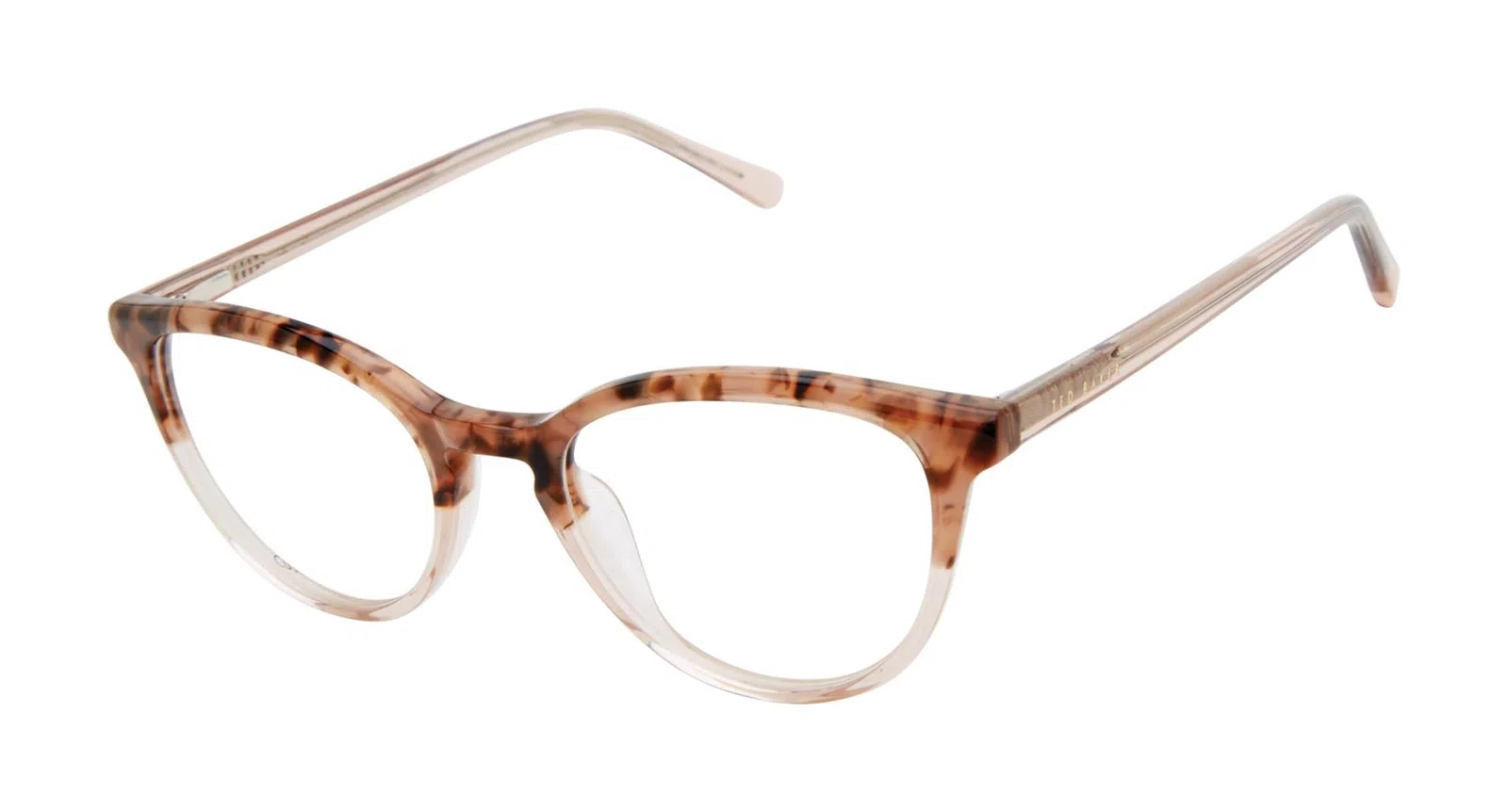 Ted Baker TW013 Eyeglasses